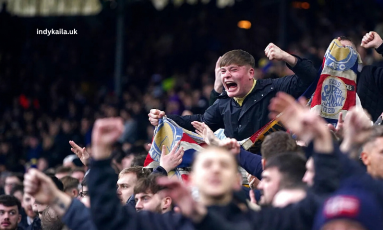 Anonibs and Football Search Trends: What Football Fans Should Know anonibs